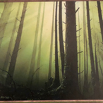 PaneraStryker's Avatar