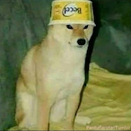 Faze taquito385's Avatar'