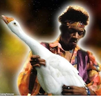 Chorifonka..'s Avatar'