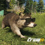 Dazzle_pops's Avatar'