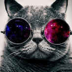 Steavers's Avatar'
