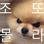 starter16500's Avatar'