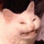 ChunkyyMcFunkyy's Avatar'