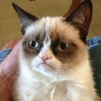 JesusMitSandale's Avatar'