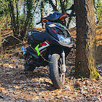 Matte_Proo's Avatar'