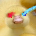 KilIed's Avatar'