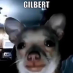 elchofer56's Avatar'