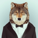 jamesywolfy's Avatar