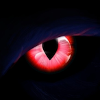 Alyiton's Avatar'