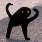stefan.jpeg's Avatar'