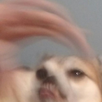 Schmeck_'s Avatar'