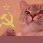 EOTAVARESNEEH's Avatar'