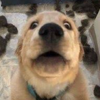 Bernardoo.'s Avatar'