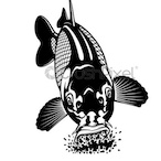 Ocean_Carp's Avatar'