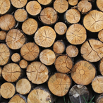 Wood.1's Avatar'