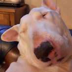 Walter-_'s Avatar'