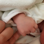 amon-gunss's Avatar'