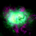 Dang_Turtles's Avatar'