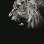 Pinkscript30's Avatar'