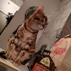 o1CRiMSOR1o's Avatar