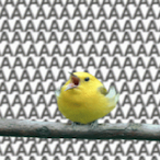 RED_JoonPyo's Avatar'