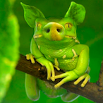 Swift_FX's Avatar'
