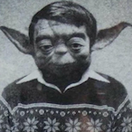 ToastyTiger23's Avatar'