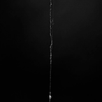 SpidersThread's Avatar'