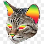 eat1n's Avatar'