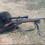 Sniper-Monkey_'s Avatar'
