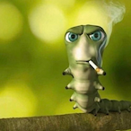 Piyivii's Avatar'