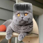 kaymazyedek's Avatar'