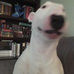 Walter_..'s Avatar'