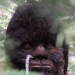 You larp max's Avatar'