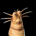 HappierTubb_'s Avatar'