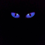 aMin.-'s Avatar'