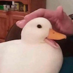 Frankster35's Avatar'