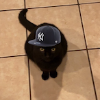 Quinnklebottom's Avatar'