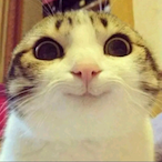 cAllMe_ViQil's Avatar'