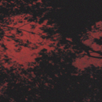 xarft's Avatar'