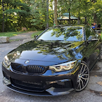 May 30 2008's Avatar'