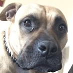 WENDIGO7458's Avatar'