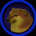 space.doge's Avatar'