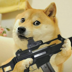 BATTLE_DOGE009's Avatar'
