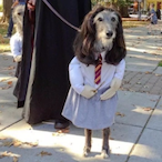 wuggle nuts's Avatar'