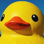 Banduck_'s Avatar'