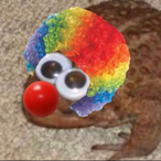 FrogInDaFridge's Avatar'
