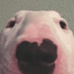 IXKuramaIX's Avatar'