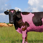 MonkaBeef.trash's Avatar'