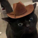 BadJokeGuru's Avatar'